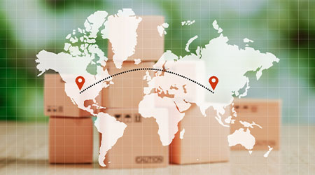 Import- und Exportverzollung
